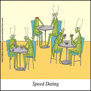 speed-dating