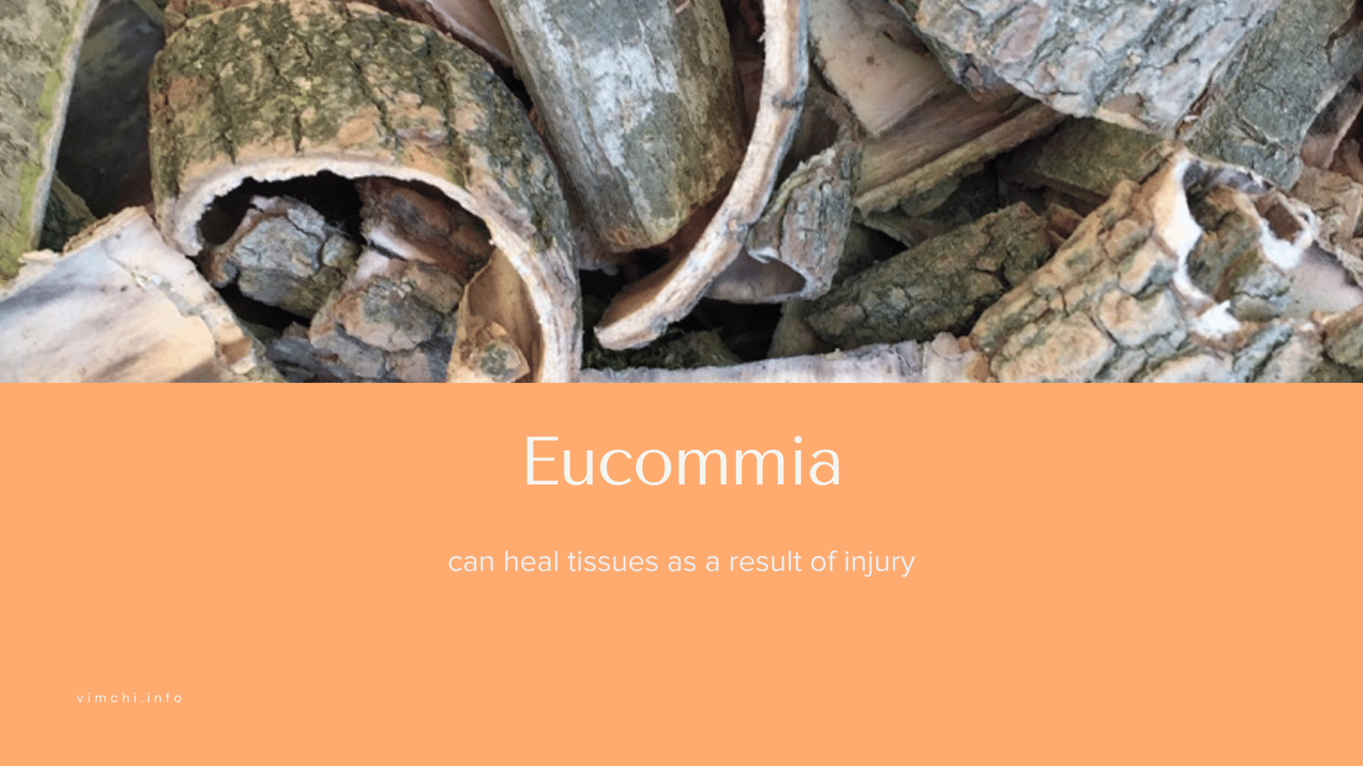 eucommia natural alternative to tramadol