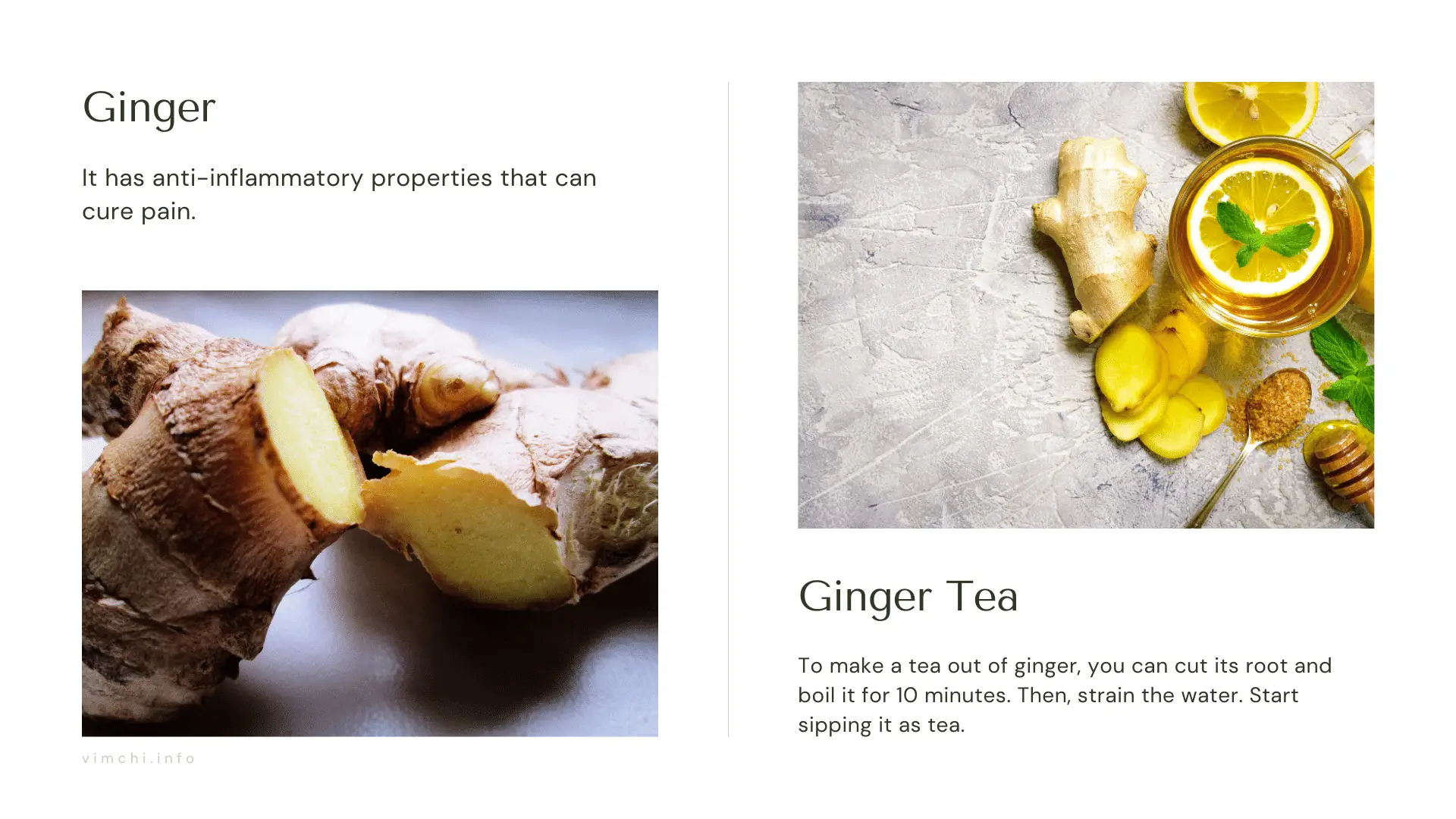 ginger natural alternative to tramadol