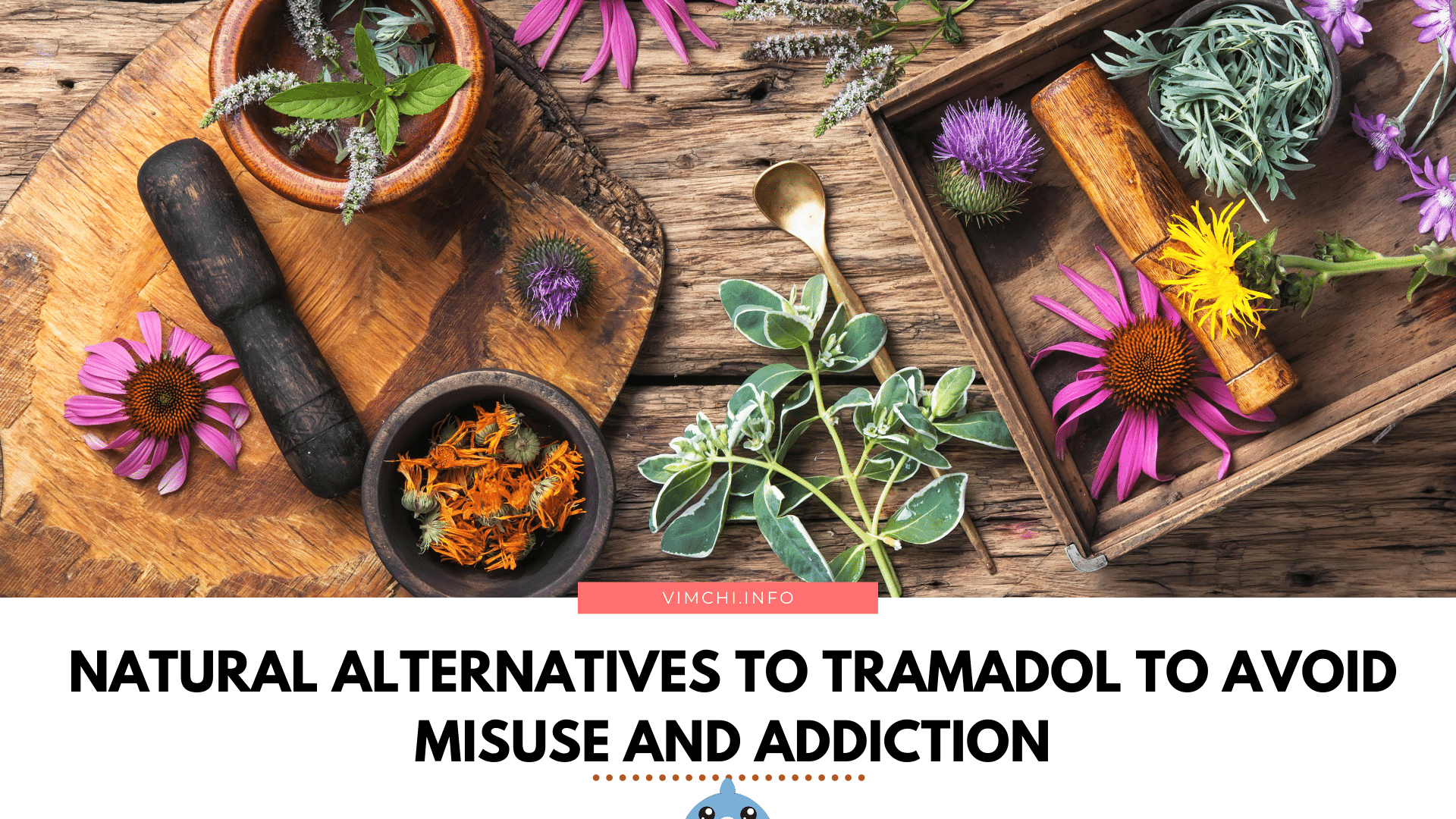 effective natural alternatives to tramadol