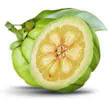 garcinia cambogia for weight loss