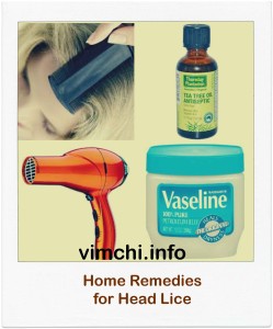WHAT HOME REMEDIES TO USE FOR HEAD LICE WHAT HOME REMEDIES TO USE FOR HEAD LICE