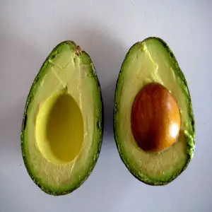 fat-burning-avocado
