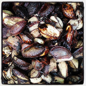 fat-burning-brazil-nuts