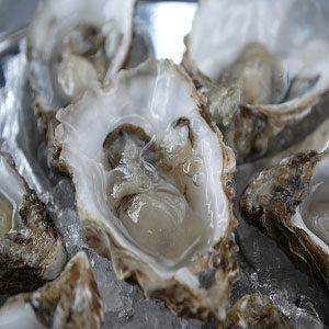 fat-burning-oysters