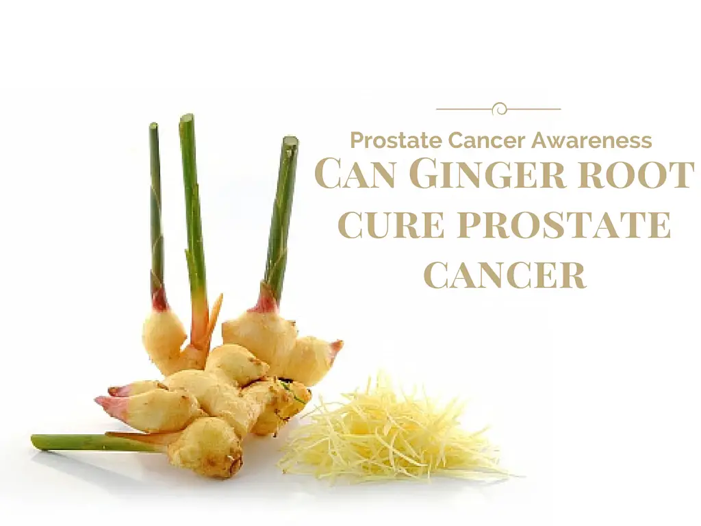 Prostate Cancer Awareness – Can Ginger Root Really Cure This Cancer?