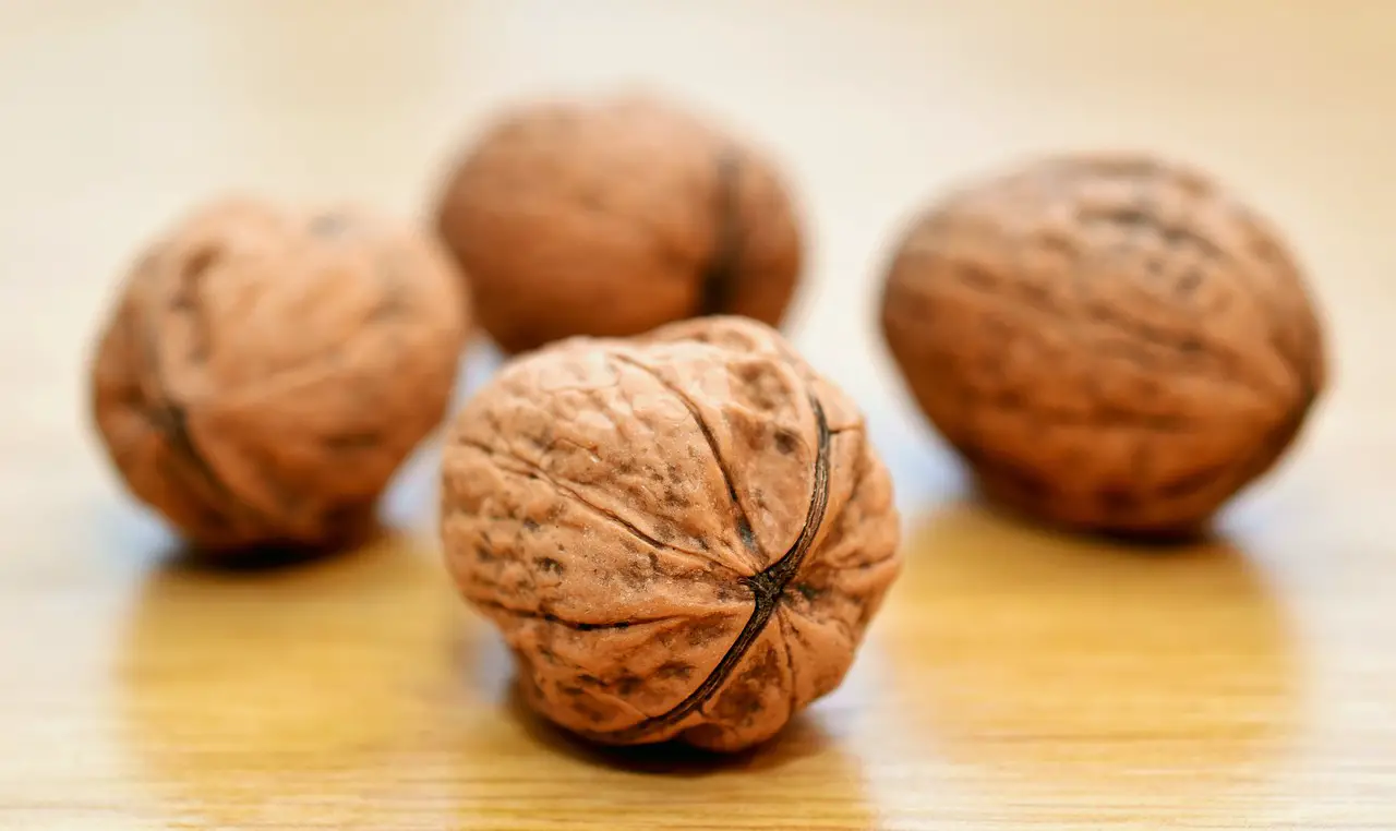 The Health Benefits of Walnuts for Diabetes