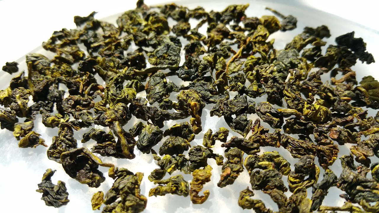 oolong tea, weight loss tea