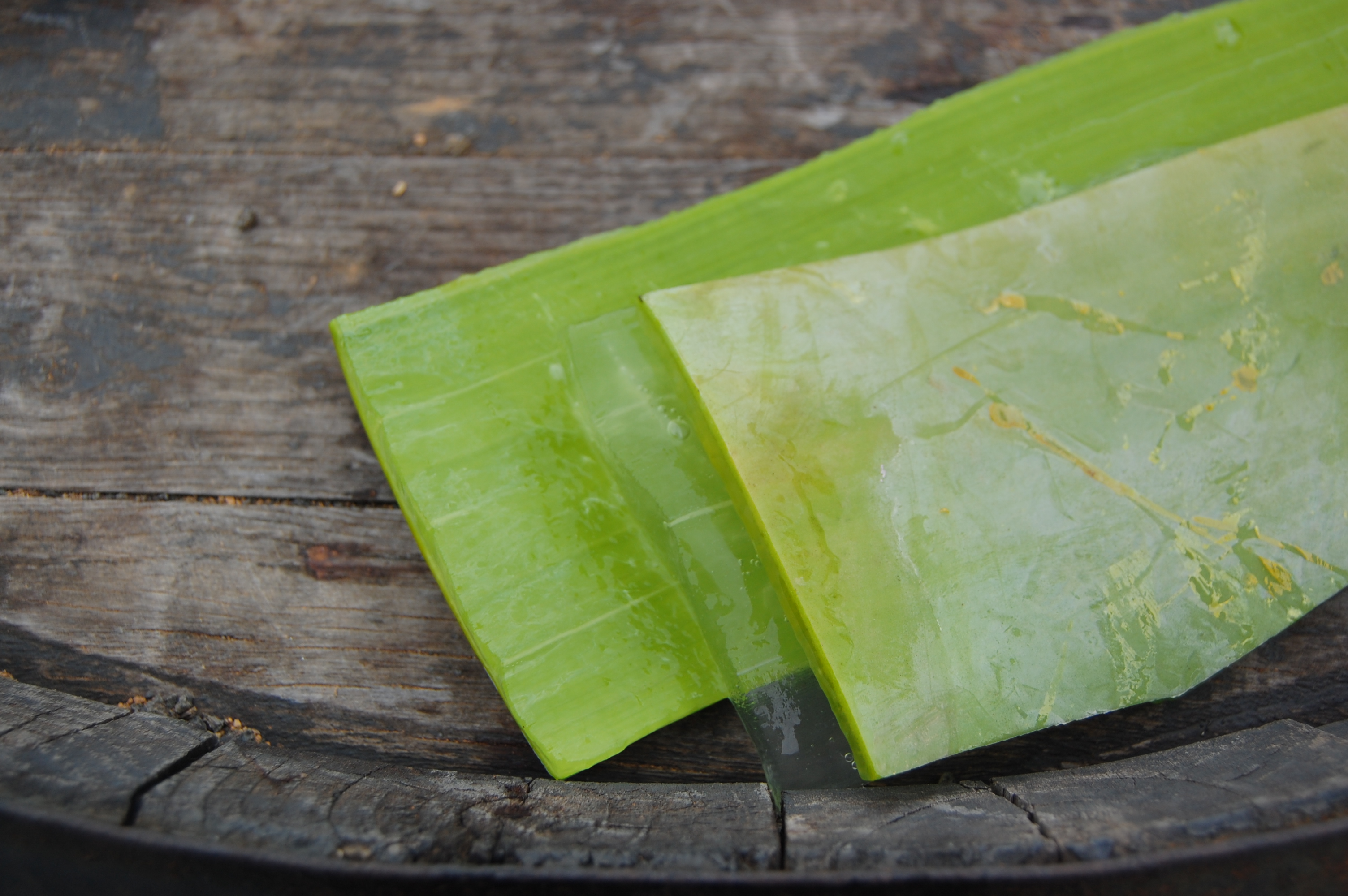 What Does an Aloe Vera Gel Do? 