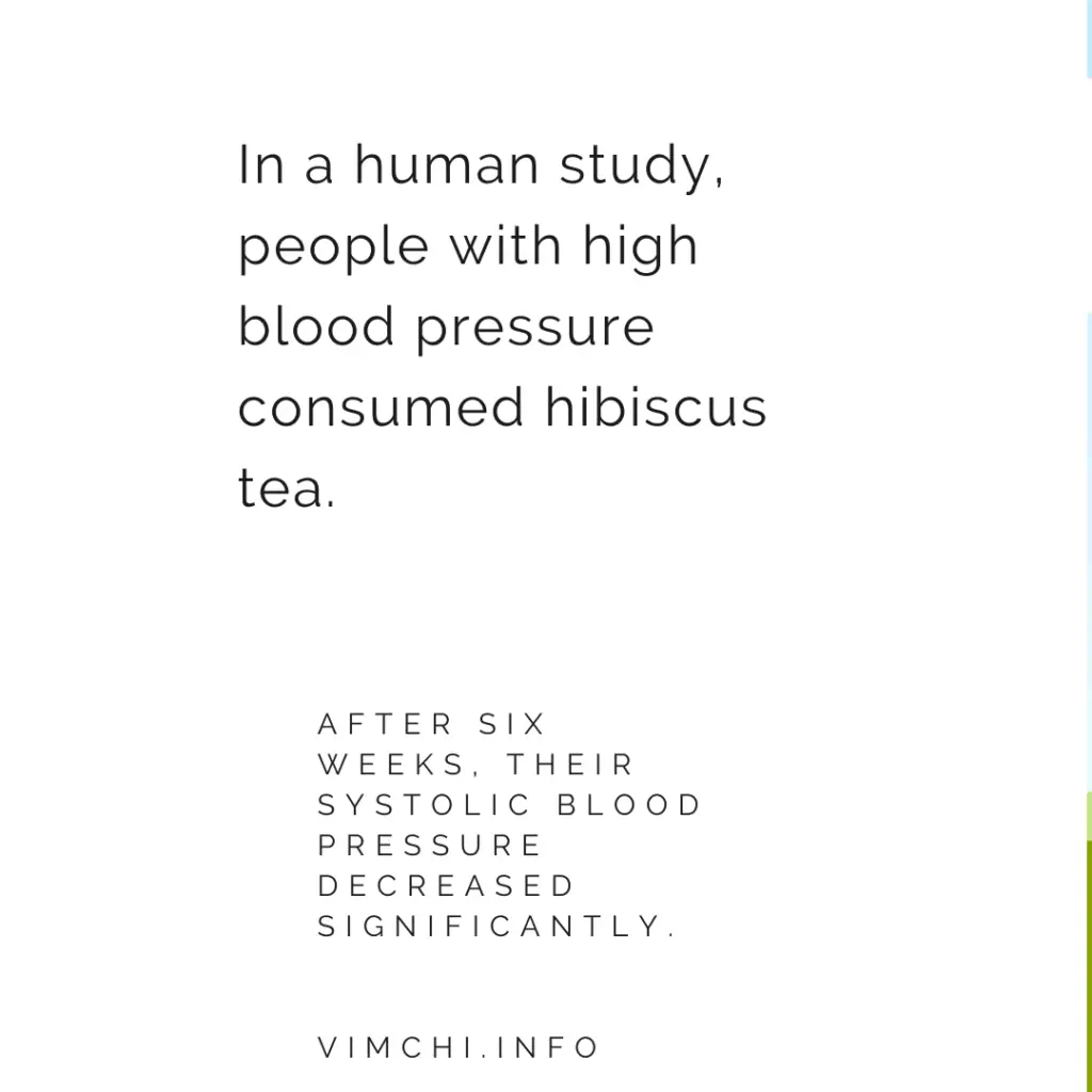 In a human study, people with high blood pressure consumed hibiscus tea. After six weeks, their systolic blood pressure decreased significantly. 