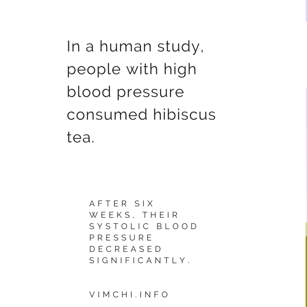 In a human study, people with high blood pressure consumed hibiscus tea. After six weeks, their systolic blood pressure decreased significantly. 