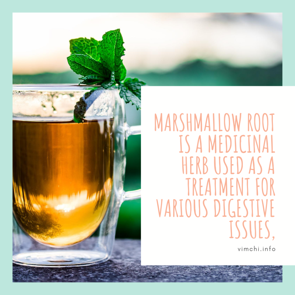 Which Herbal Tea is Best for Acid Reflux? marshmallow tea