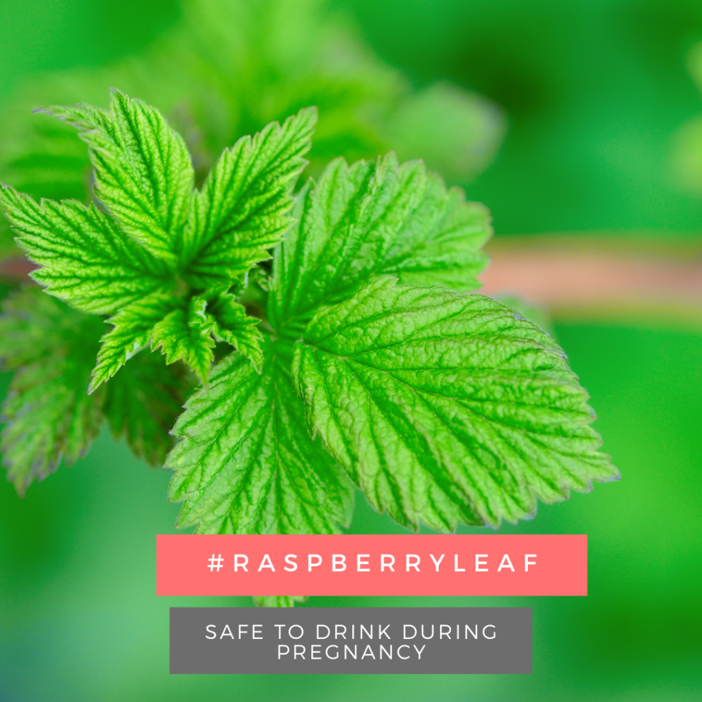raspberry leaf
