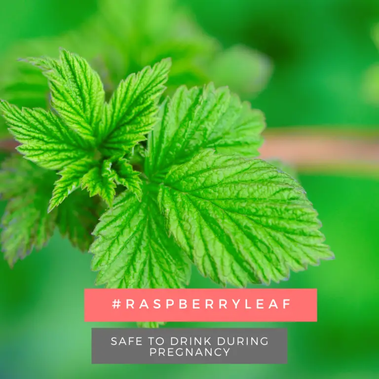 Can Herbalife Tea Cause Miscarriage? What Teas Cause Miscarriage?