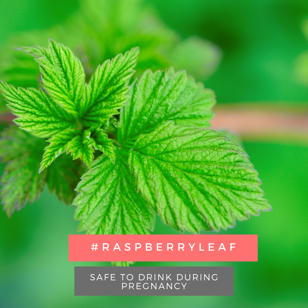 Can Herbalife Tea Cause Miscarriage? What Teas Cause Miscarriage?