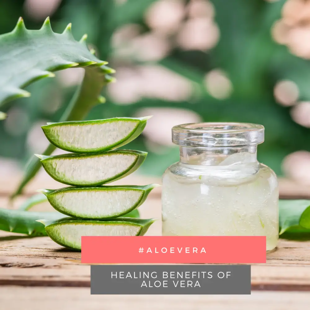 healing benefits of aloe vera