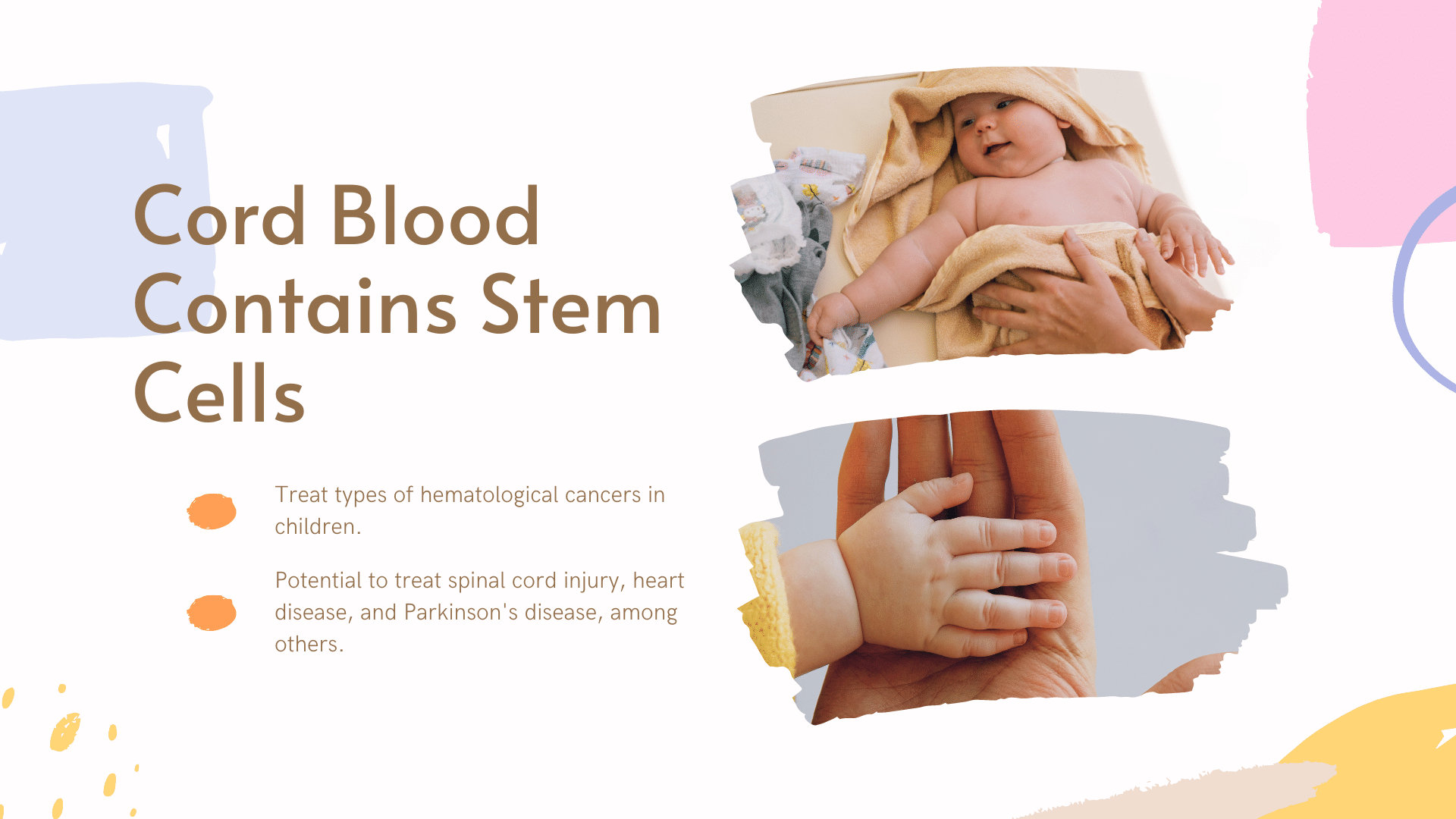 who can donate cord blood - cord blood contains stem cells