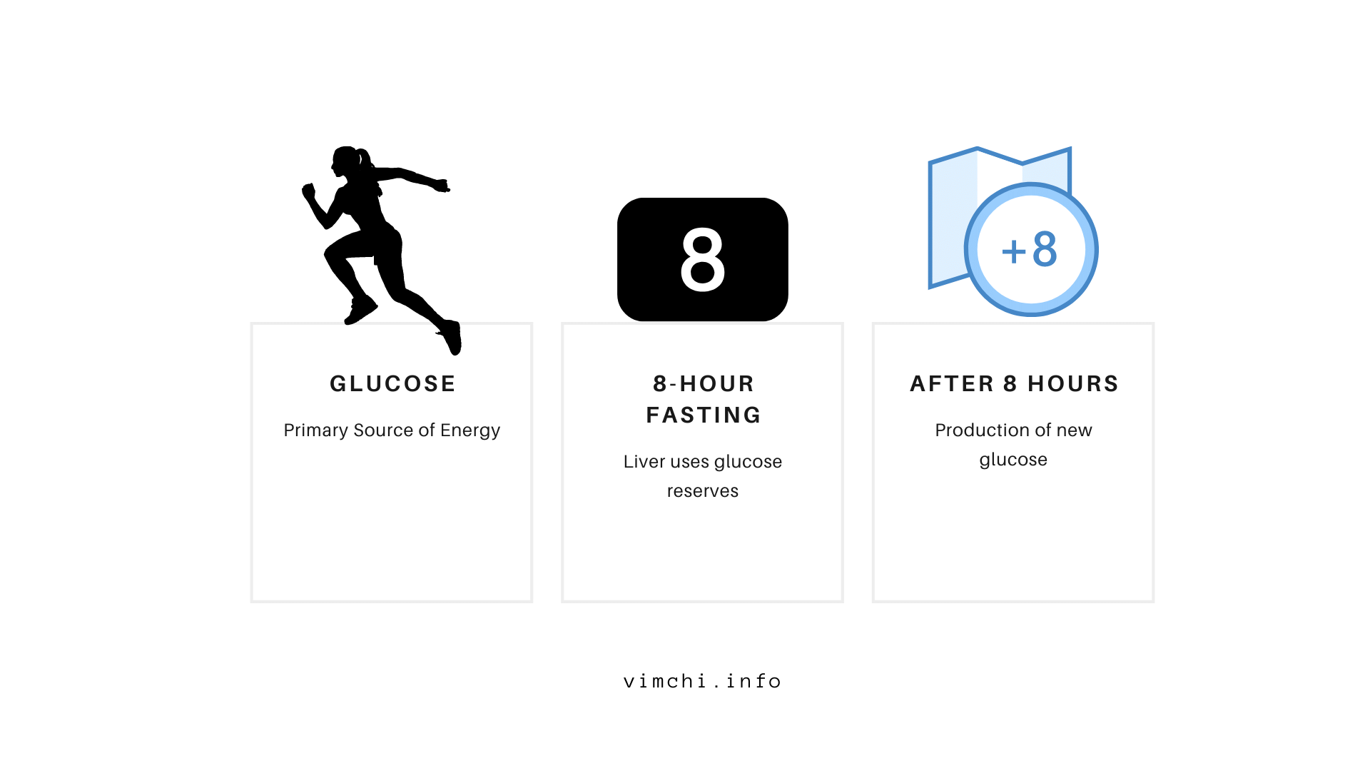 24 hour fasting - glucose to new glucose