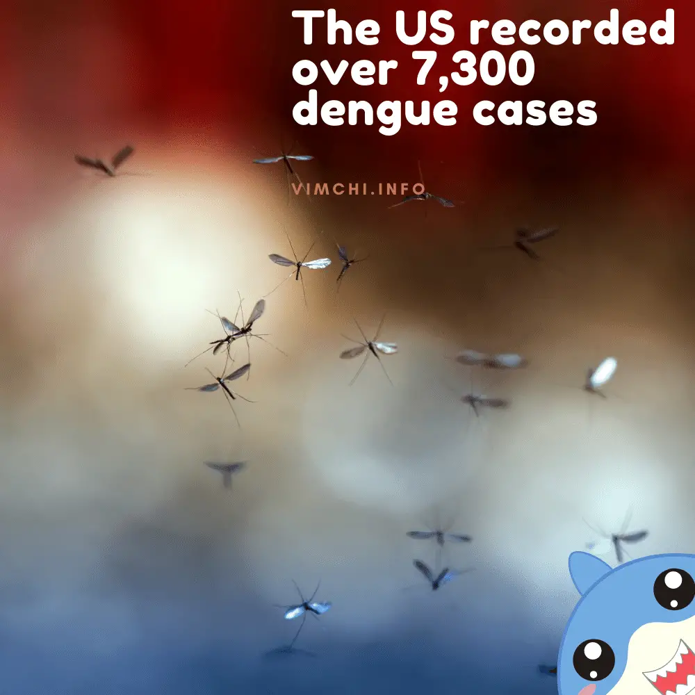 genetically modified mosquitoes to fight dengue