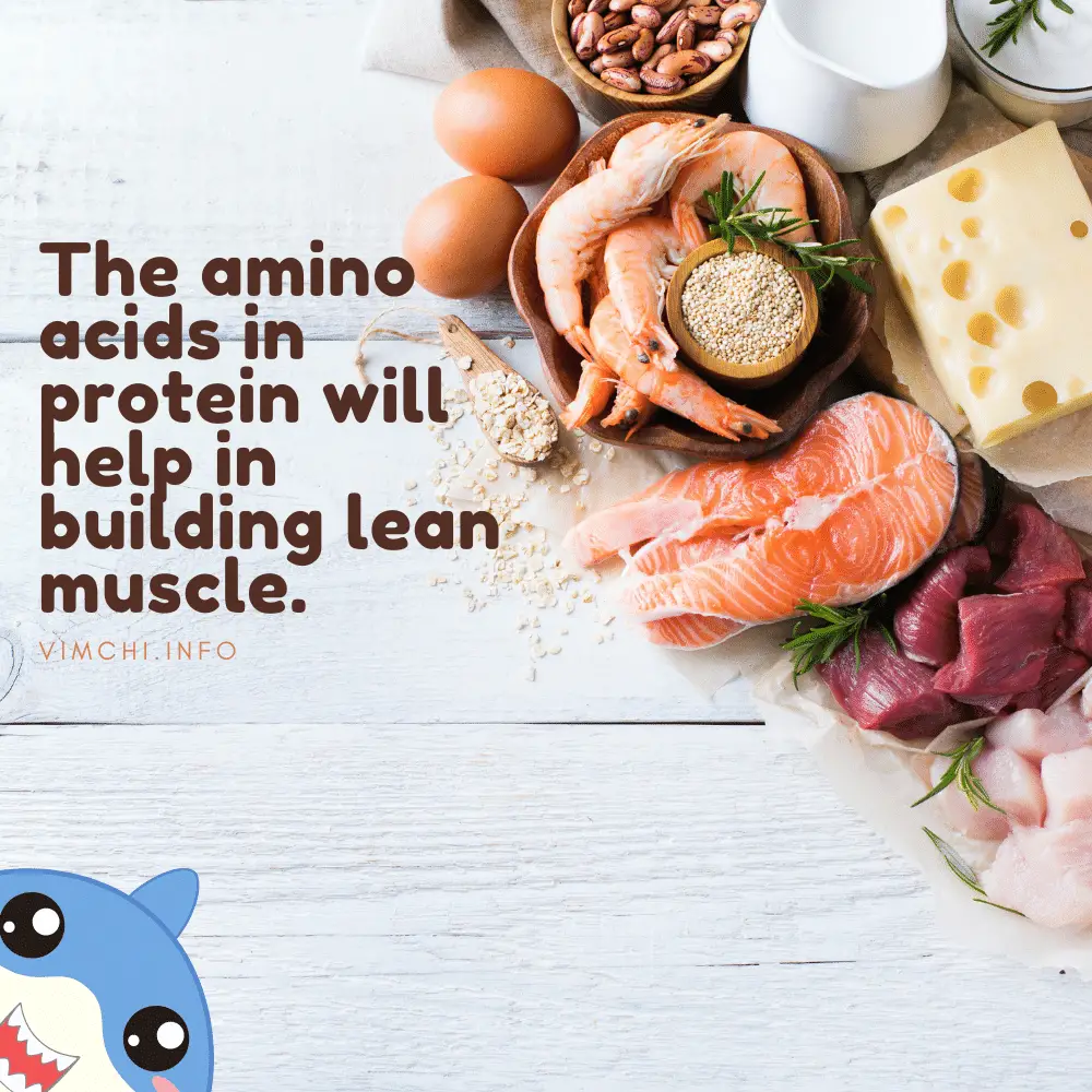 What is the Best Time to Eat on OMAD Diet Plan - amino acids