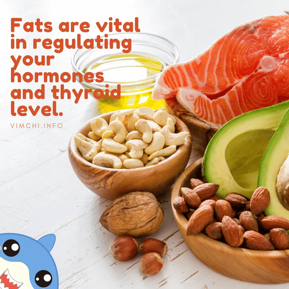 What is the Best Time to Eat on OMAD Diet Plan healthy fats