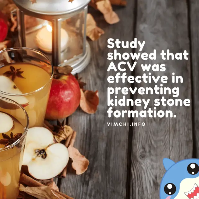 Will Herbal Tea Cause Kidney Stones? Here Are Some Facts