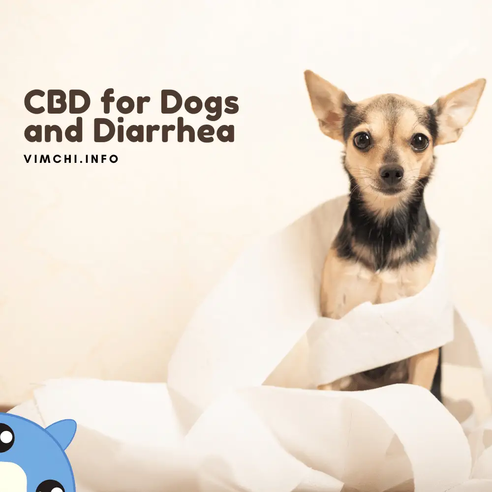 can cbd for dogs cause diarrhea
