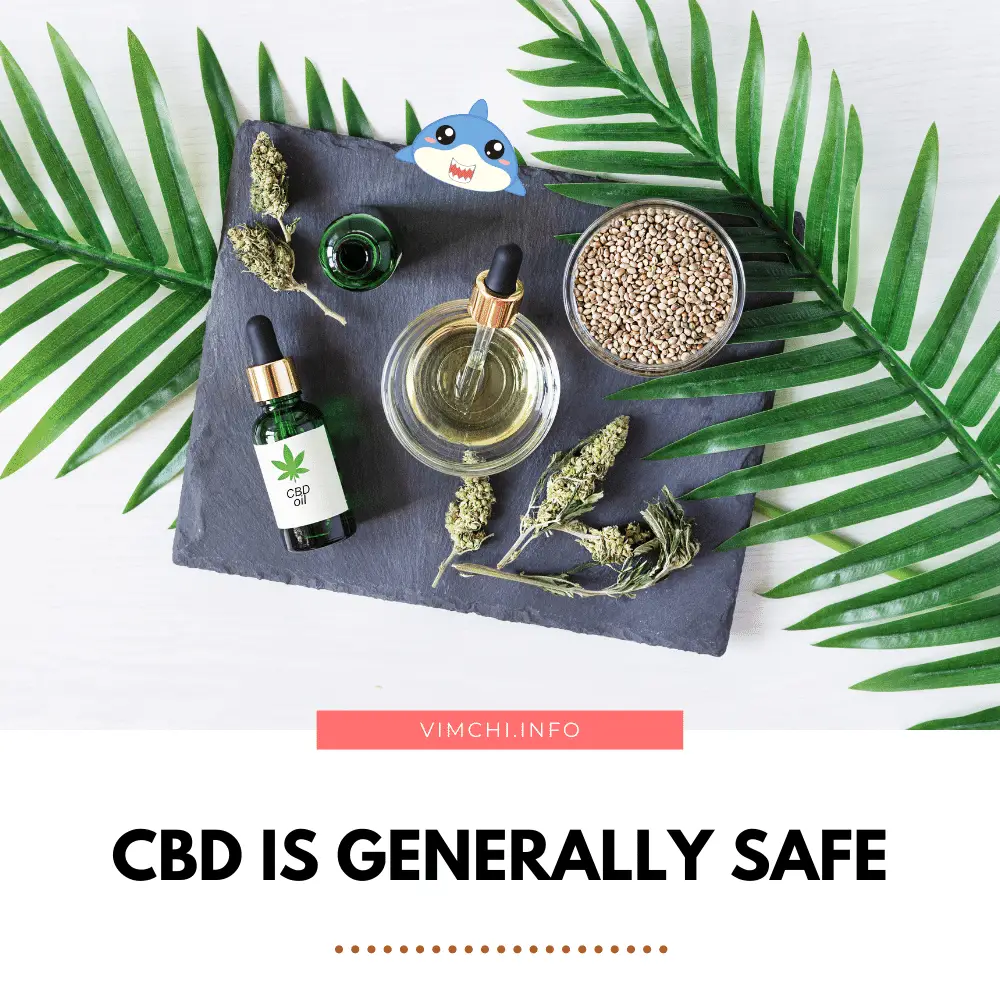 How Does CBD Help Dogs - cbd is safe