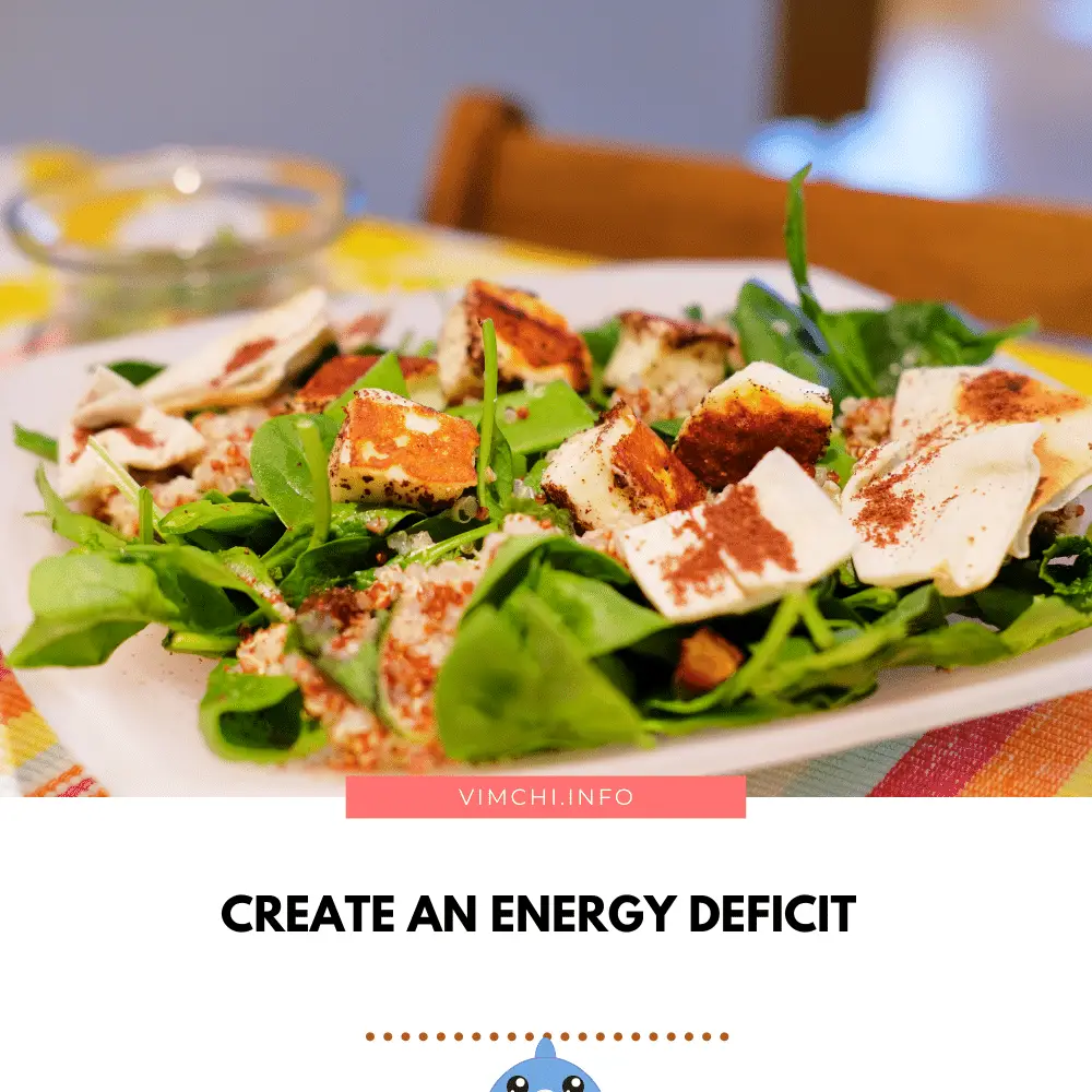 How to Lose Weight Eating 1 Meal a Day - creating an energy deficit