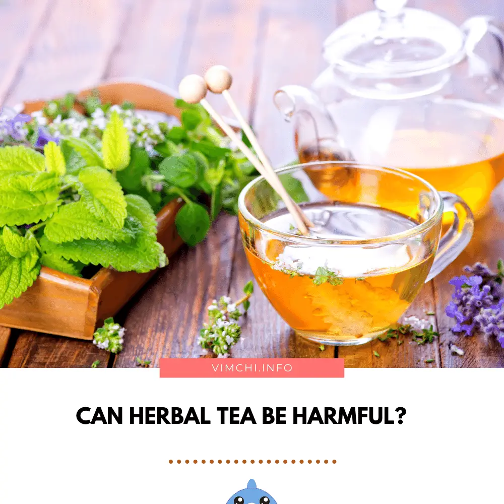 Is Herbal Tea Good for You - can it be harmful