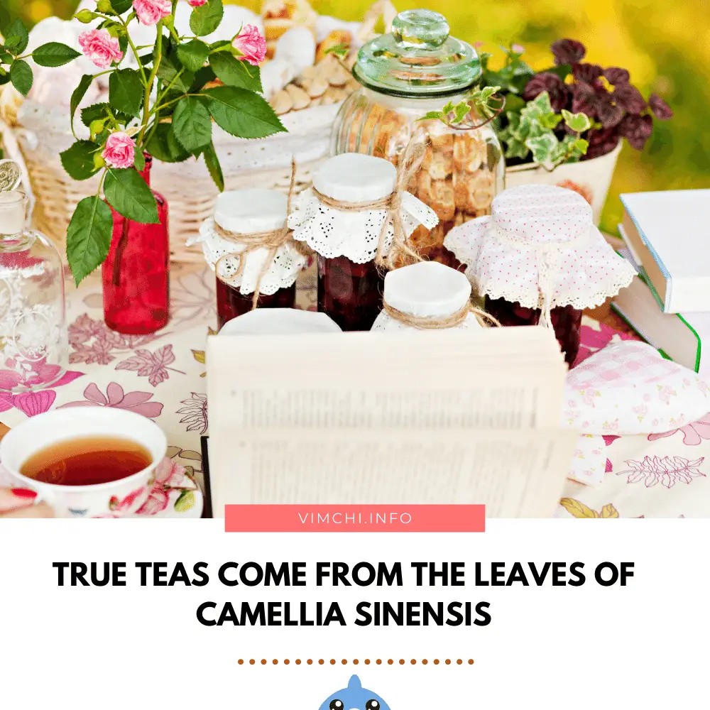 Is Herbal Tea Good for You - true teas