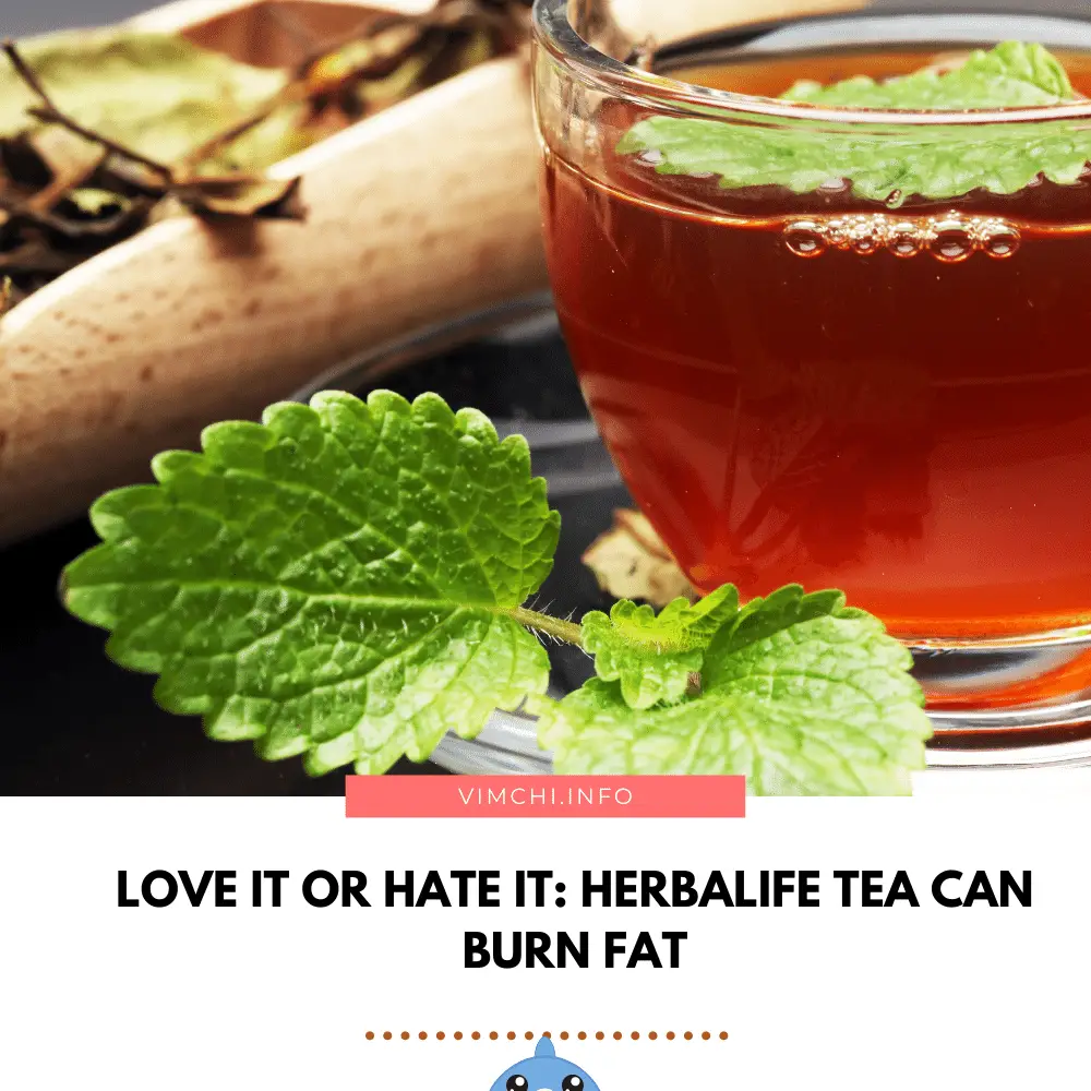how herbalife tea burn fat