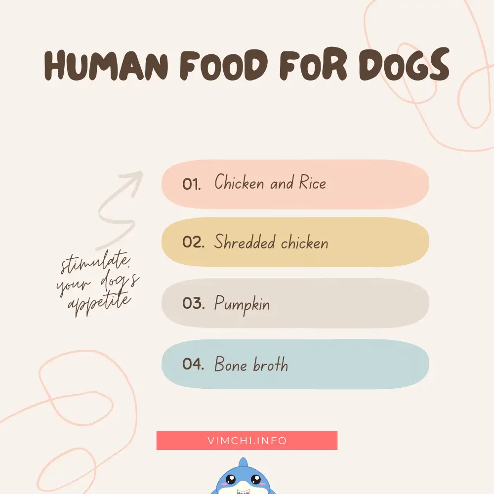 Appetite Stimulants for Dogs - human foods