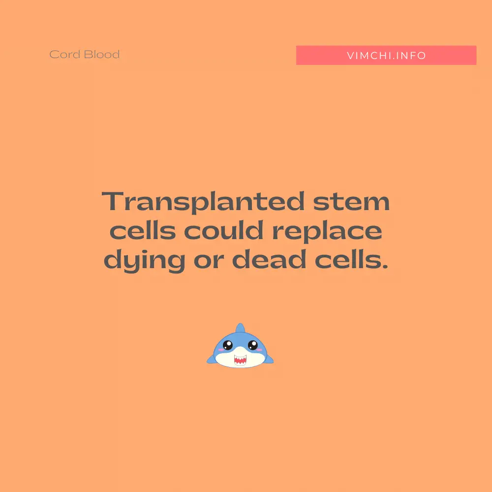 Does Cord Blood Help Autism - transplanted stem cells