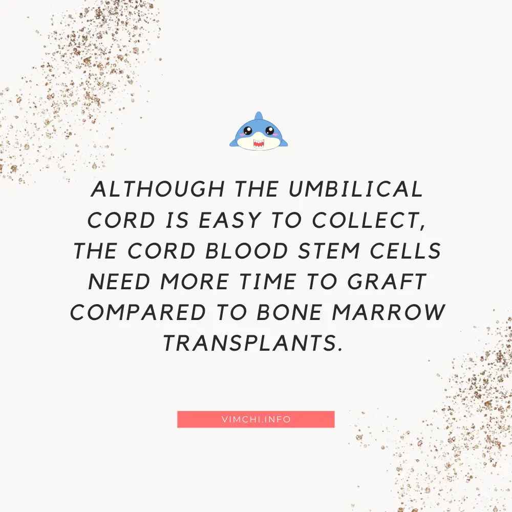 Umbilical Cord Stem Cells Advantages and Disadvantages - need more time to graft