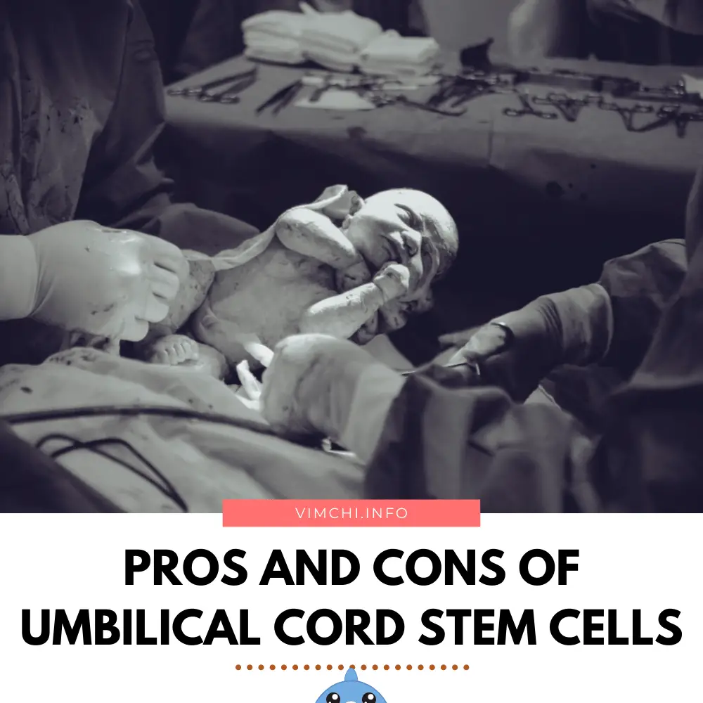 Umbilical Cord Stem Cells Advantages and Disadvantages