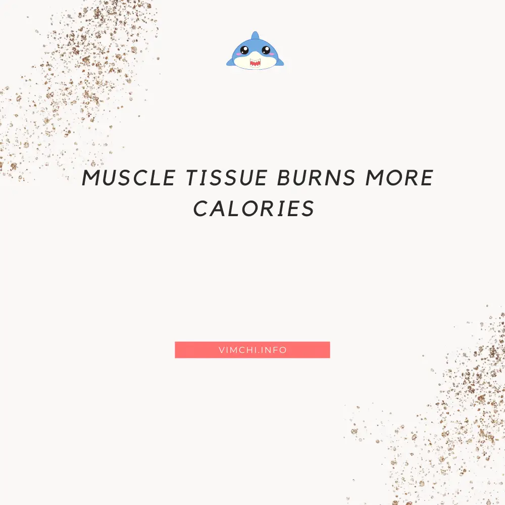 muscle tissue burns calories