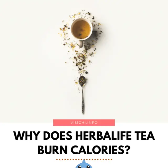 Why Does Herbalife Tea Burn Calories?