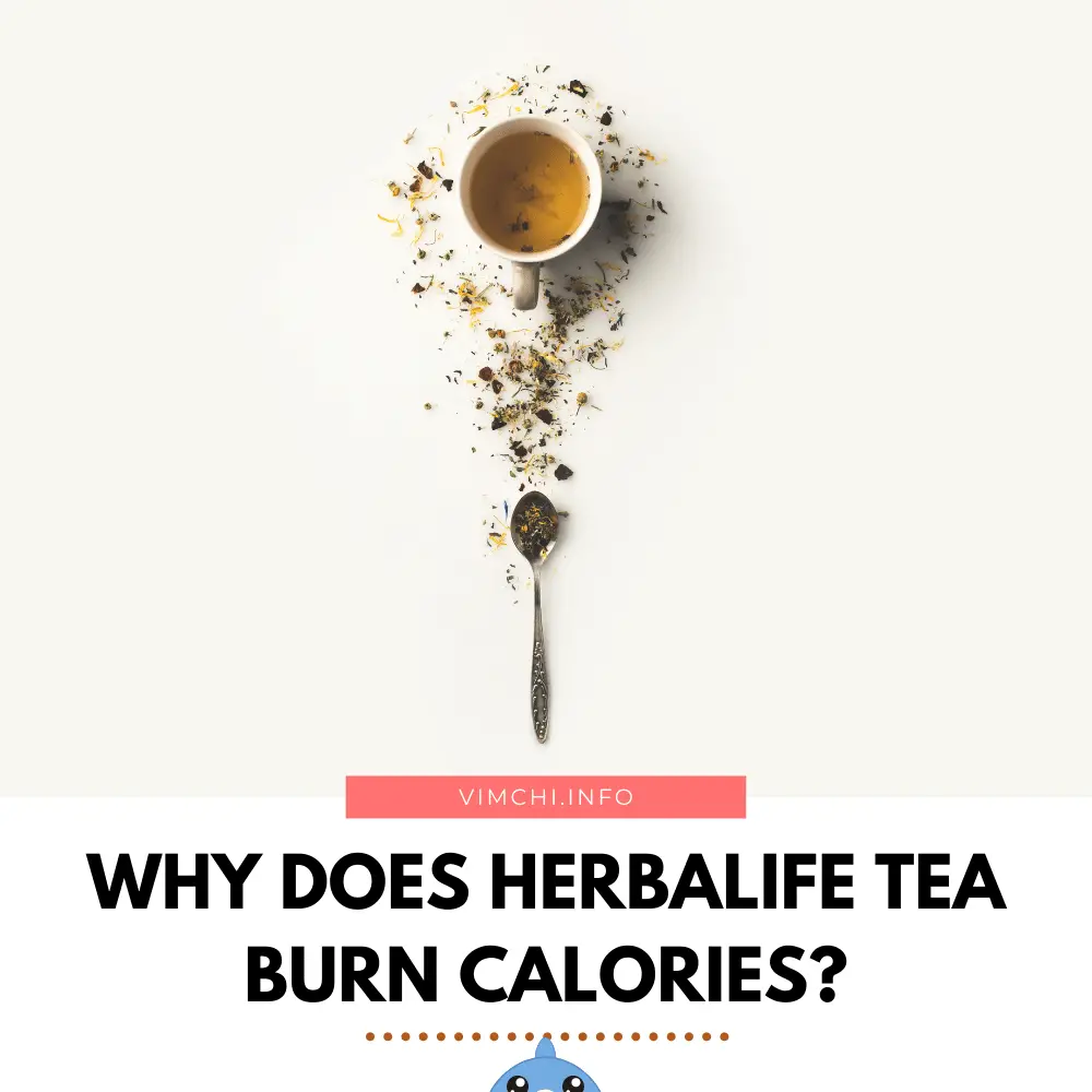why does herbalife tea burn calories