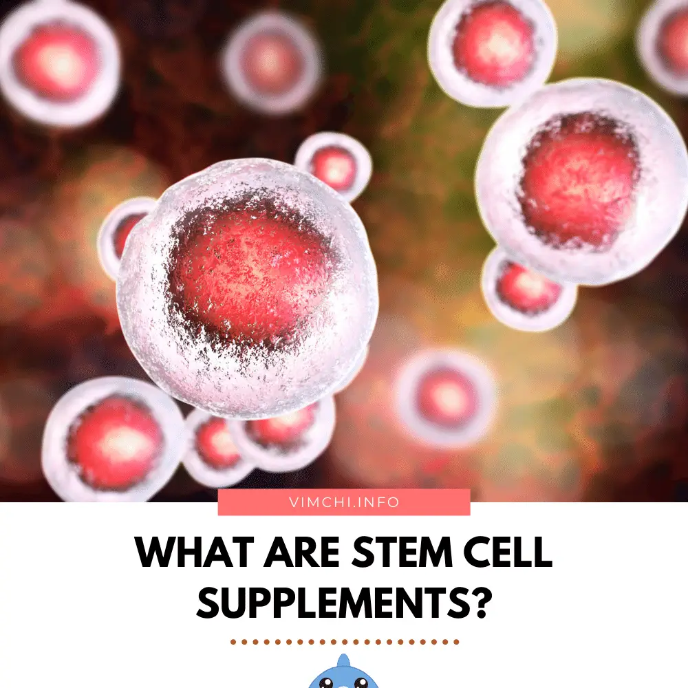 Are Stem Cell Supplements Effective
