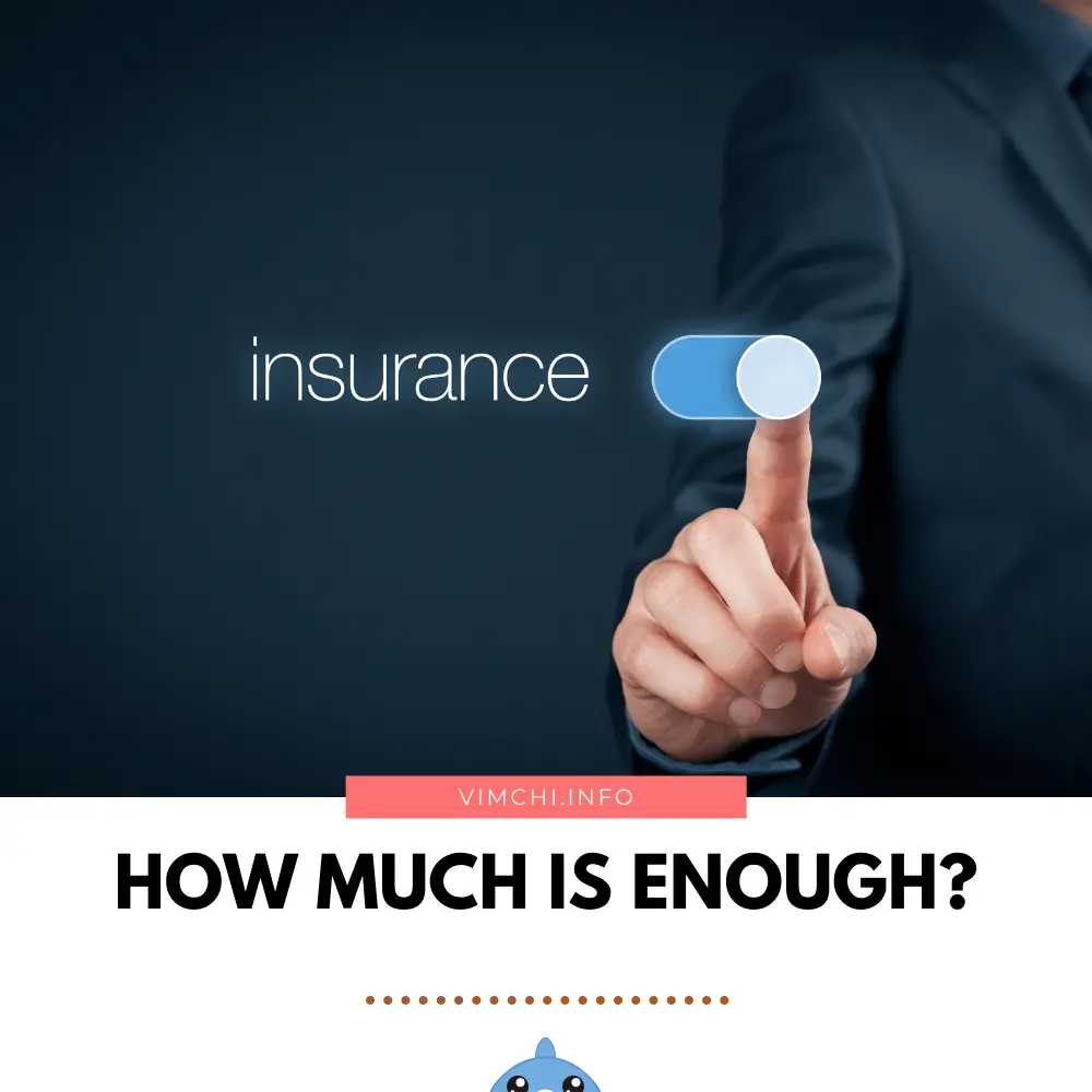 how much indemnity insurance do i need