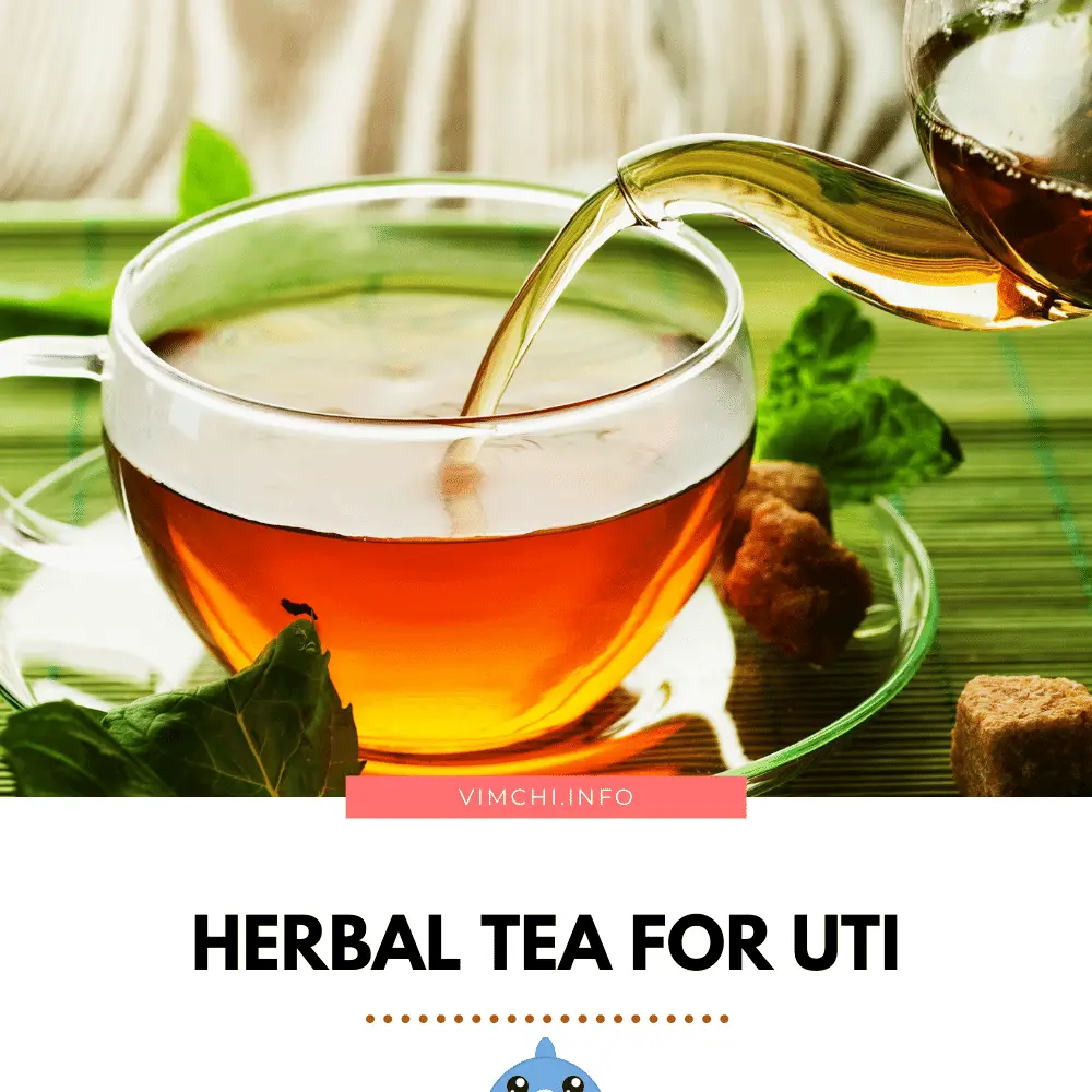 herbal tea UTI