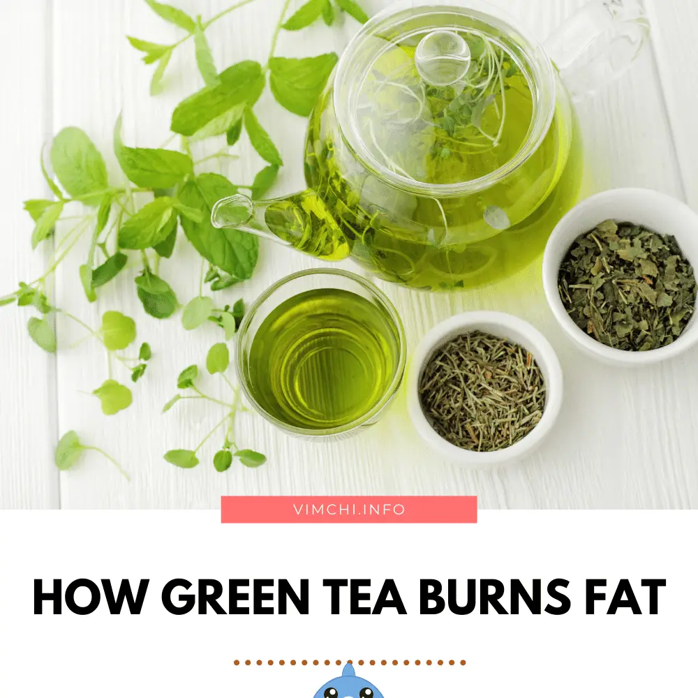 how does green tea burn fat