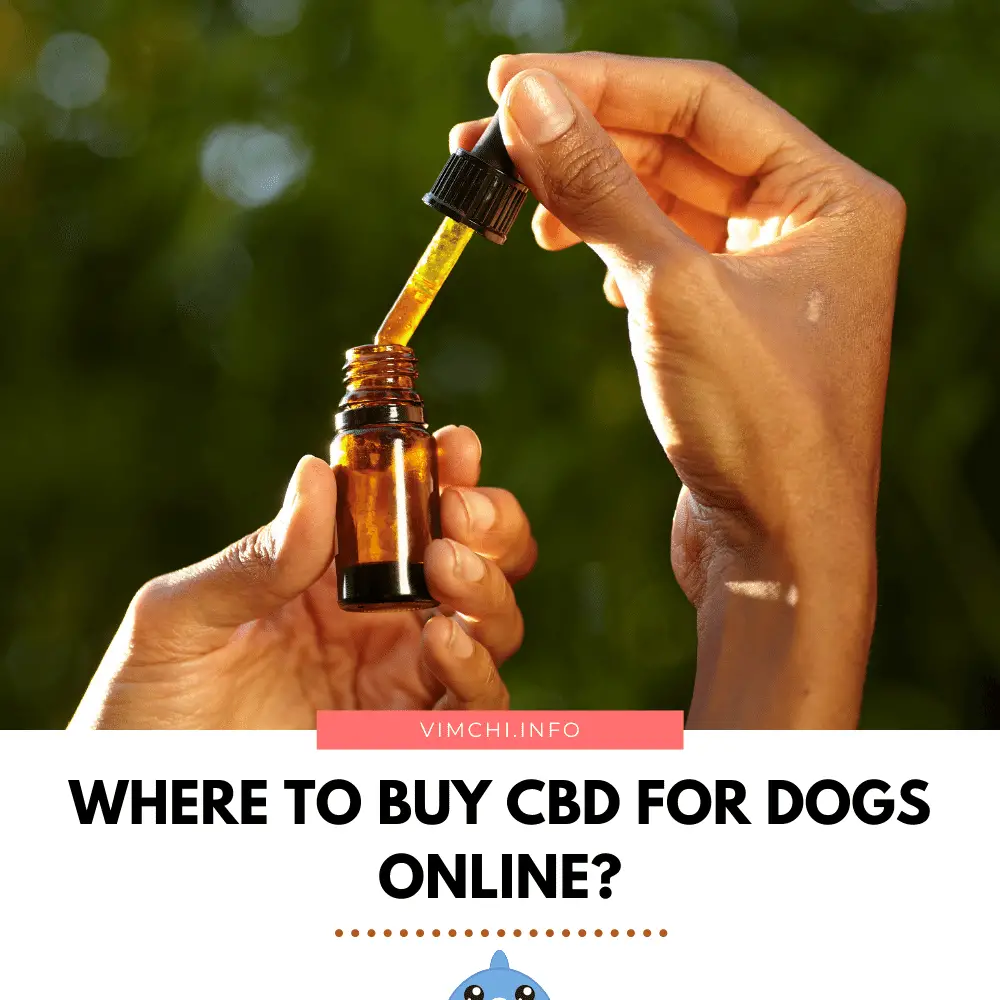 where to buy CBD for dogs online