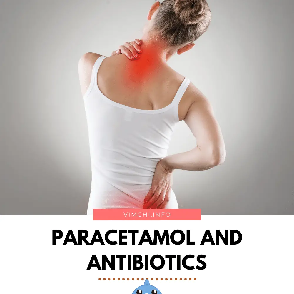 can paracetamol be taken with antibiotics