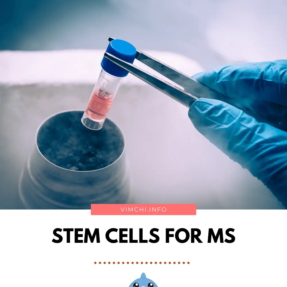 can stem cell cure MS