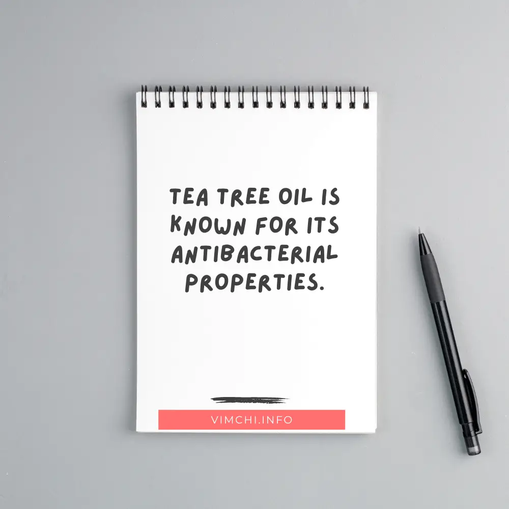 can aloe vera remove pimples -- tea tree oil