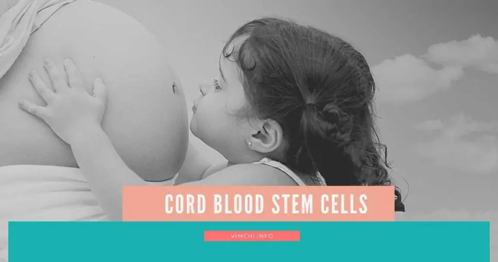 can cord blood stem cells be multiplied