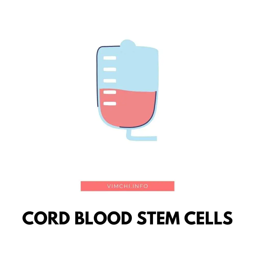 Can cord stem cells be multiplied? If they can, how many billions? Find out more here. 