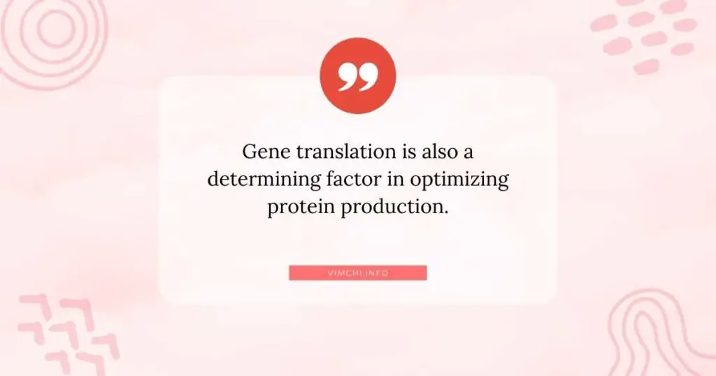 protein production -- gene translation